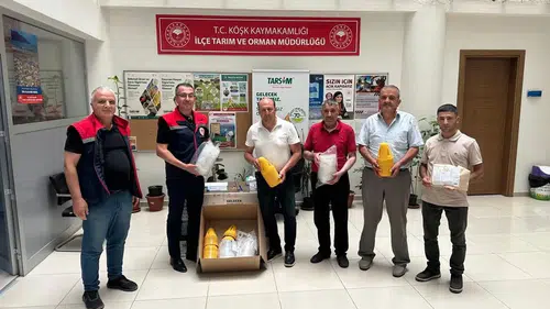 Köşk’te üreticinin yüzünü güldüren destek: Meyve sineğine karşı yarı yarıya hibe