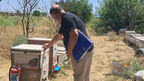 Köşk’te arıcıların yüzünü güldürecek çalışma: Destekler için sahaya indiler