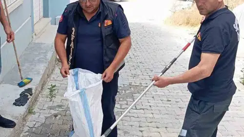 Sandıklı'da korku dolu anlar: Evin içine giren davetsiz misafir paniğe yol açtı
