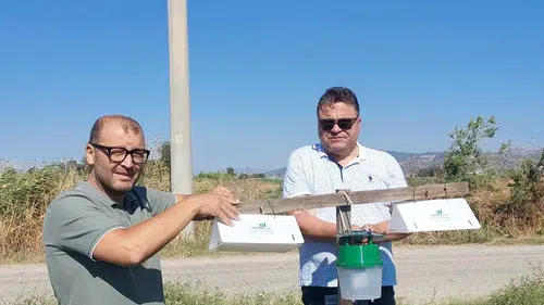 Pamukta verim kaybına feromonlu önlem: Efeler'de yeni dönem başladı
