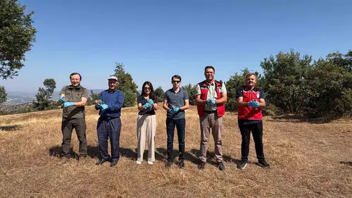 Gördes’te yaban hayatına büyük destek: 500 keklik doğaya salındı