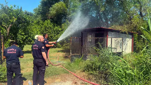 Ortaca'da korkutan alevler: Kulübe faciasının eşiğinden dönüldü