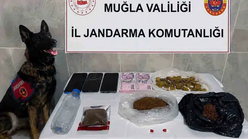 Muğla'da suç örgütlerine geçit yok: Bir ayda 24 operasyonla darbe vuruldu