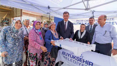 İzmir’in incirine büyükşehir dokunuşu: Hasatta kalite dönemi başlıyor