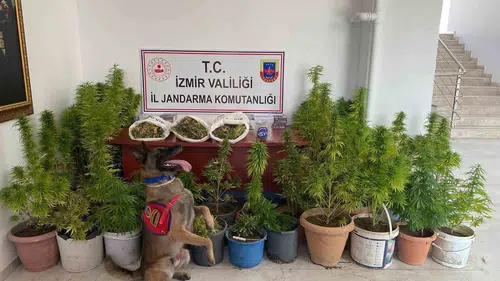 İzmir jandarmasından zehir tacirlerine ağır darbe: 3 kişi cezaevine gönderildi