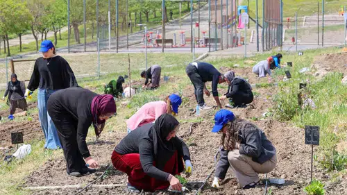 Beton binaların arasında yeşil mucize: İzmirli kadınlar toprağı berekete dönüştürüyor
