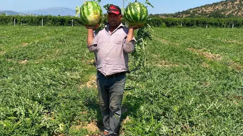Tarlada emeği hiçe sayılan çiftçi çareyi direksiyonda buldu: Aracılara inat kendi pazarını kurdu