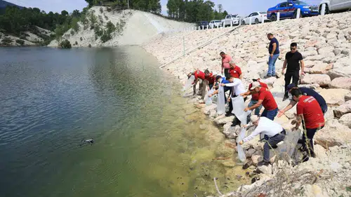 Denizli’nin göletlerinde devasa dönüşüm: 1,3 milyon balık suya bırakıldı