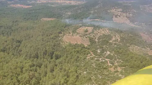 Menteşe'de ormanlık alanda korkutan yangın: Ekiplerin hızlı müdahalesi faciayı önledi