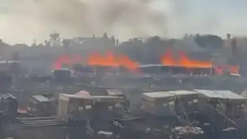 Denizli'de arıcıları yasa boğan yangın: Emekler bir anda kül oldu