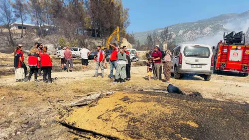 Korubükü’nde yaralar sarılıyor: Tarım ekipleri üreticinin yanında