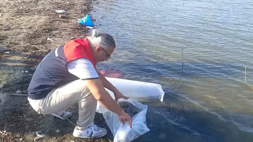 Denizli’nin su kaynaklarına 80 bin yeni misafir: Balık popülasyonu güçlendiriliyor