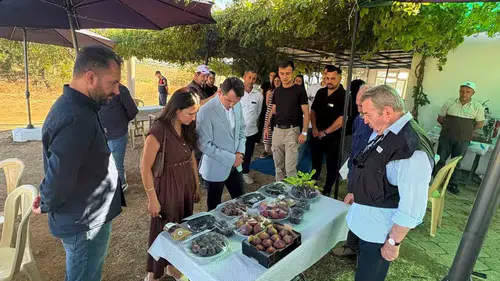 Gördes’te tarımsal dönüşüm: İncir üretimi için kritik inceleme