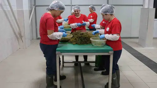 Efeler’in bereketi dijital dünyaya taştı: Yöresel lezzetler artık bir tık uzağınızda