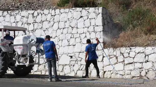 Bozdoğan’da çevre sağlığı seferberliği: Kırsaldan merkeze kireçleme çalışması