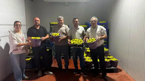 İncirde kaliteyi korumak için seferberlik: Buharkent’te kritik denetim