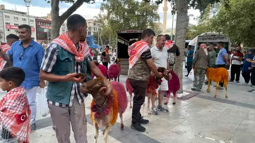 Menderes’in kadim yolcuları şehre indi: 853 yıllık gelenek için geri sayım başladı