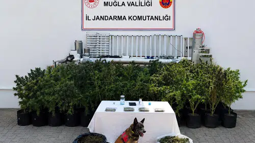 Bodrum'da zehir tacirlerine jandarma darbesi: Evini laboratuvara çevirmiş