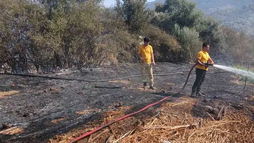 Bafa’da tarım arazisinde korkutan yangın: Ekipler zamanla yarıştı