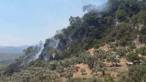 Dağyeni’nde alevlere havadan ve karadan koordineli müdahale