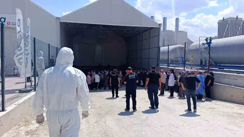 Domates serasında korku dolu anlar: İlaçlama sonrası onlarca işçi fenalaştı