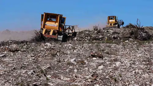 Küllerinden doğan ormanlar: Aliağa ve Foça’da yeşil seferberlik