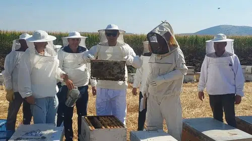 Saruhanlı’da bal mesaisi: Kaymakam Özcan üreticilerle bir araya geldi