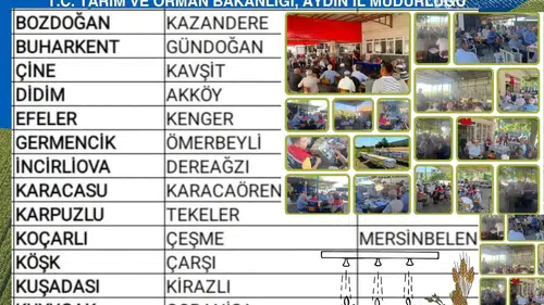 Aydınlı üretici tarlada buluşuyor: İncir hasadı öncesi kritik zirve