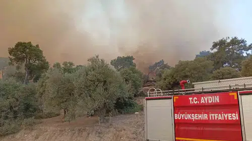 Alevlerin arasından gelen yaşam mücadelesi: İtfaiyeden duygulandıran kurtarma