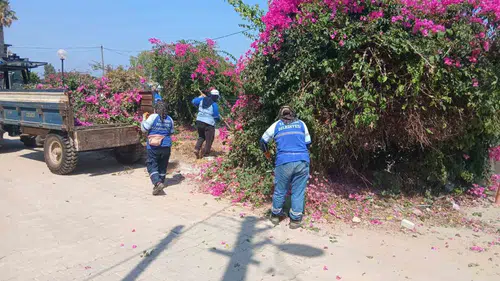 Didim’de estetik dokunuş: Belediye ekipleri dört bir koldan temizlik mesaisinde