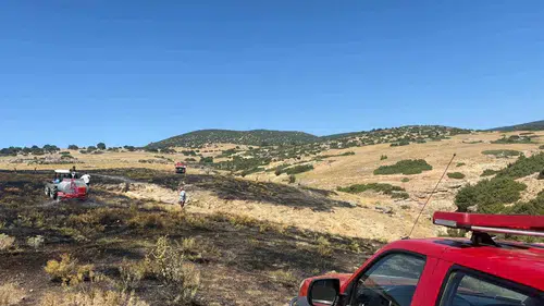 Afyonkarahisar'da korkutan anız yangını: Ekipler orman sınırında durdurdu