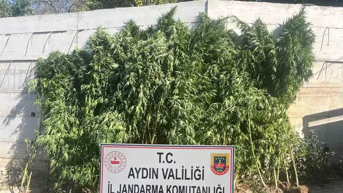 Dereköy'deki Saksılar Jandarmayı Harekete Geçirdi: 41 Yaşındaki Şüpheli Tutuklandı