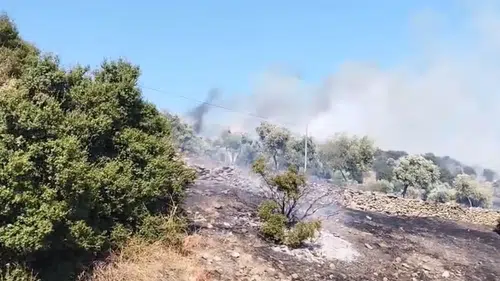 Çine'de alevlerle zorlu mücadele: Hallaçlar'da yangın alarmı