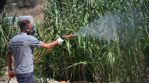 Kuşadası’nda yaz mesaisi: Haşerelere karşı 7/24 koruma kalkanı