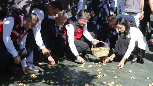 Aydın’da İncir Hasadına Katılan Bakan Yumaklı’dan İhracat Uyarısı: “Gümrükten Dönen Ürünü Zehir İlan Etmek Kimseye Fayda Sağlamaz”