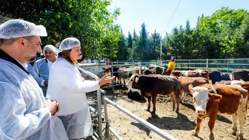 Afyonkarahisar'da devrim niteliğinde adım: Belediye kendi etini üretecek