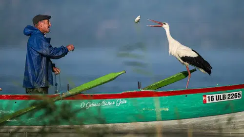 Balıkçı Adem ile Yaren Leylek'in efsanevi dostluğu İzmir'e taşınıyor