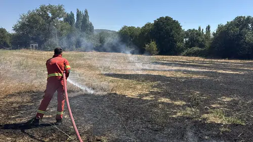 Menteşe'de korkutan dumanlar: Bahçe temizliği az kalsın faciaya yol açıyordu