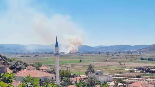 Milas’ta sazlık yangını paniği: Ekipler alevlere geçit vermedi
