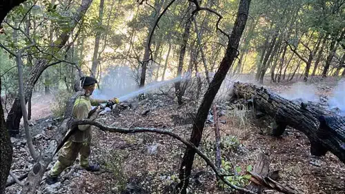 Dalaman'da orman yangını paniği: Ekipler zorlu arazide saatlerce mücadele etti