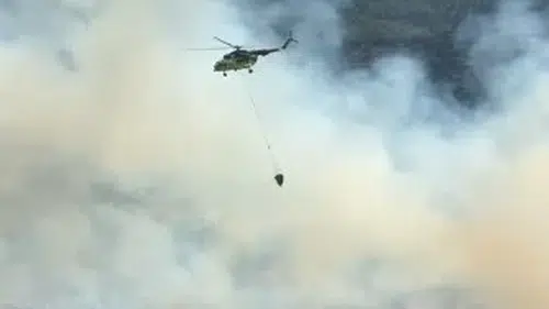 Aydın Çine’de orman yangını paniği: Ekipler alevlerle mücadele ediyor