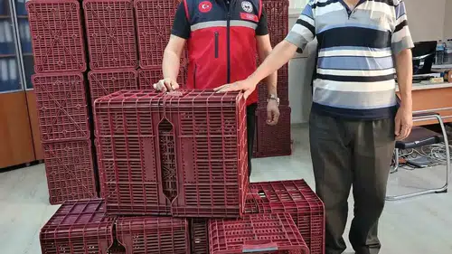 Köşk’te incir sezonuna hijyen desteği: Üreticiye modern ekipman takviyesi