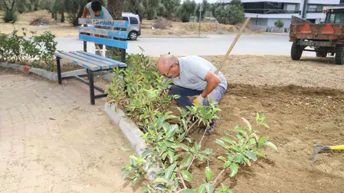Nazilli'de kış mesaisi başladı: Yeşil alanlar yaza hazırlanıyor