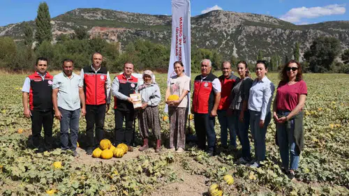 Muğla’nın bereketli topraklarında geleneksel hasat heyecanı: Ata tohumları sofralara taşınıyor