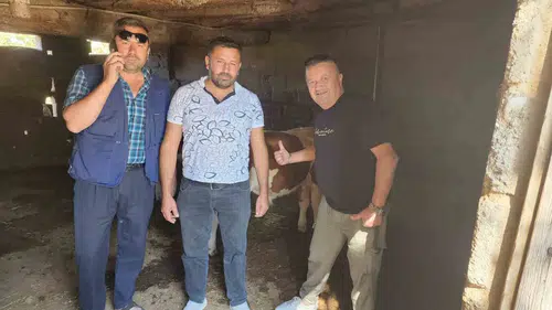 Çivril’de kayıp buzağı seferberliği: Mahalleli tek yürek oldu