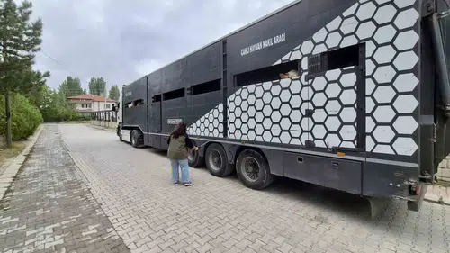 Afyonkarahisar’da titiz denetim: Hayvan sevkiyatında taviz yok