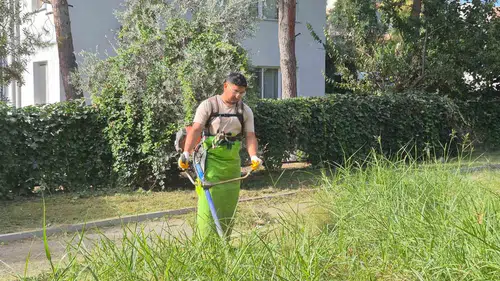 Kuşadası’nda yeşil seferberlik: Şehrin çehresi estetik dokunuşlarla yenileniyor