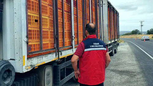 Uşak yollarında sıkı denetim: Hayvan sağlığı için geçit yok