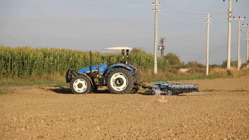 Aydın'da boş duran topraklar ekonomiye kazandırılıyor: Kiralama dönemi başlıyor