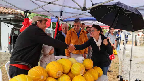 Muğla’nın bereketli toprakları ödüllü kavunlarla taçlandı